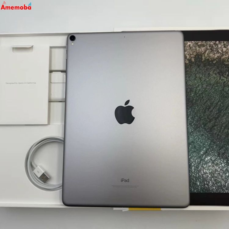iPad Pro 10.5����� Wi-Fi��ǥ� 64GB ���ڡ������쥤 MQDT2J/A ����
