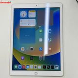 iPad Pro 12.9����� ��1���� Wi-Fi��ǥ� 128GB ������� ML0R2J/A