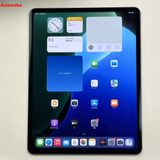 iPad Pro 12.9 6 256GB ڡ쥤 MP203J/A AUSI