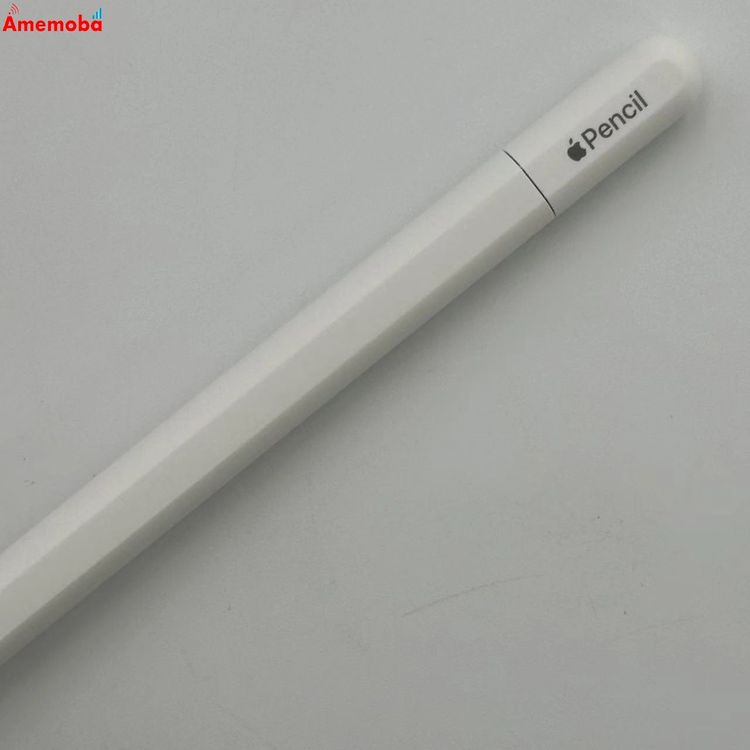 ®ȯApple Pencil USB-C ۥ磻 MUWA3ZA/A 
