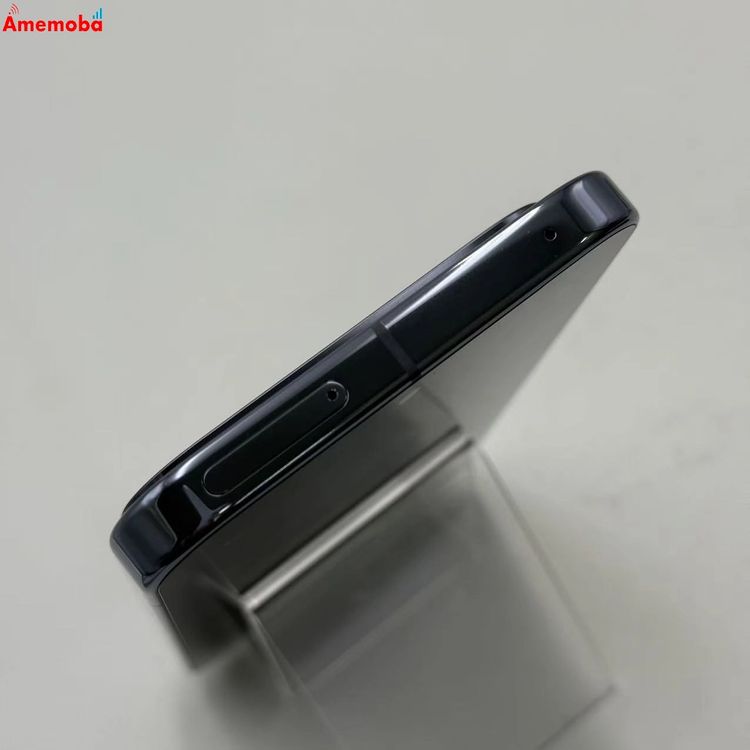 Google Pixel 10 Pro XL 256GB Moonstone SIM�ե꡼ ����