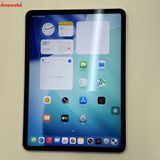 iPad Pro 11����� ��4���� Wi-Fi��ǥ� 128GB ����С� MNXE3J/A