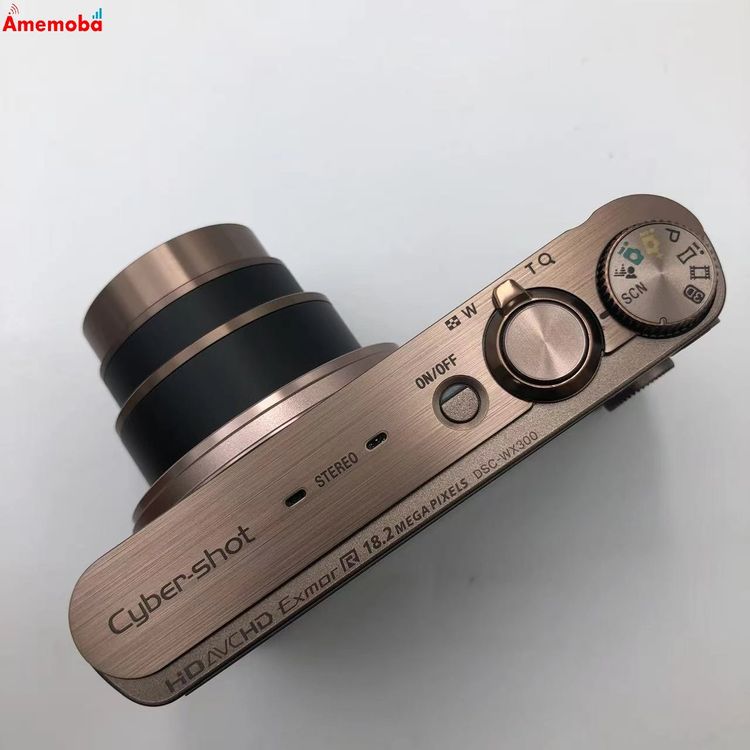 ��®ȯ�������С�����å� DSC-WX300 �֥饦�� ����