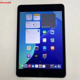 iPad mini 5 Wi-Fi+Cellular ǥ 256GB ڡ쥤 MU