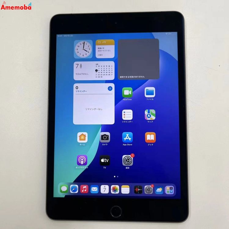iPad mini 5 Wi-Fi+Cellular ǥ 256GB ڡ쥤 MU