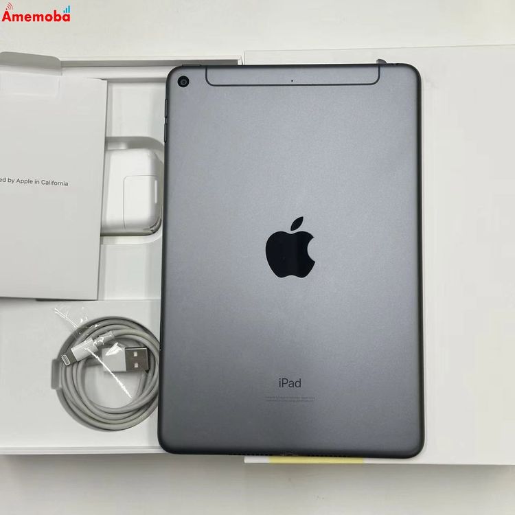 iPad mini 5 64GB ڡ쥤 NUX52J/A AppleSIMե꡼