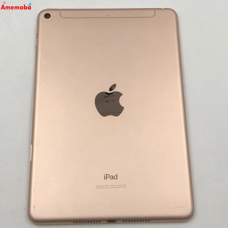 iPad mini ��5���� Wi-Fi+Cellular ��ǥ� 64GB ������� MUX72J