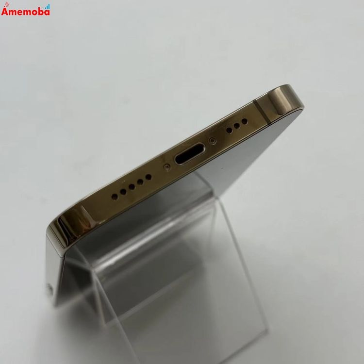 iPhone12 Pro 256GB ������� MGMC3J/A docomo��SIM�ե꡼ �����