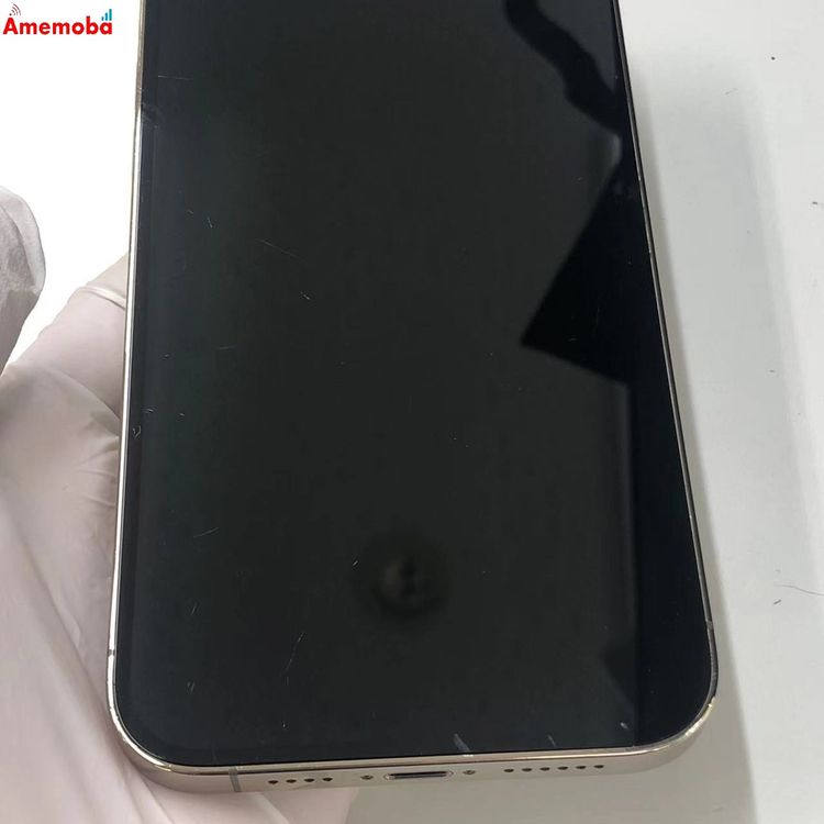 iPhone13 Pro Max 256GB ������� MLJA3J/A docomo��SIM�ե꡼