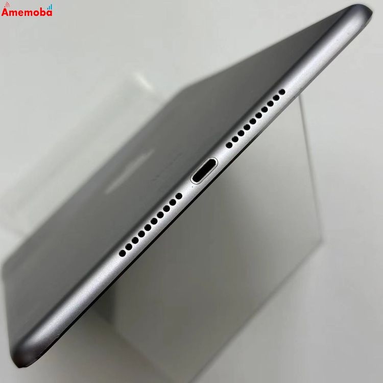 iPad mini 4 Wi-Fiǥ 32GB ڡ쥤 MNY12LL/A 