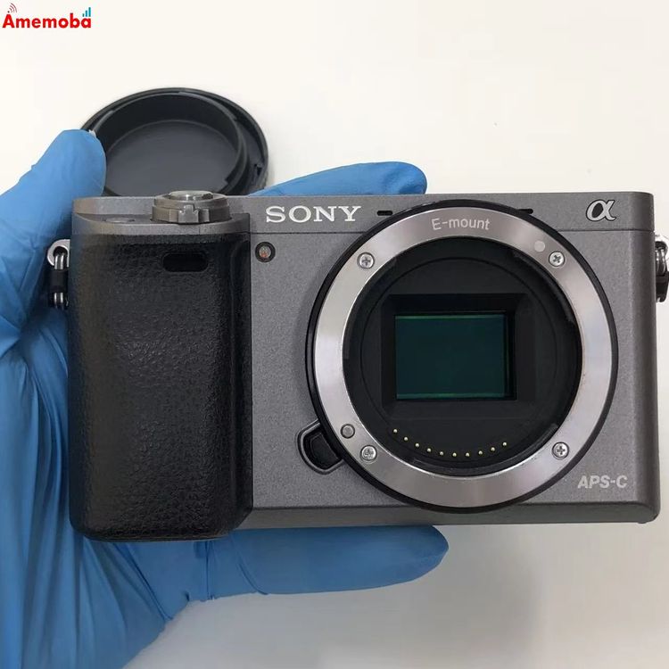 ��®ȯ��SONY ��6000 ���졼 ILCE-6000
