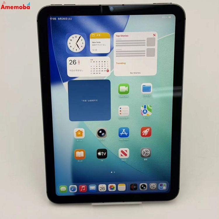 iPad mini ��6���� Wi-Fi+Cellular��ǥ� 256GB ���ڡ������쥤 MK8