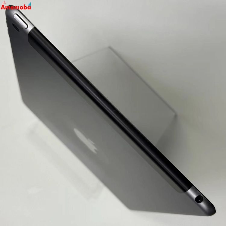 iPad Air ��2���� Wi-Fi+Cellular��ǥ� 16GB ���ڡ������쥤 MGGX2