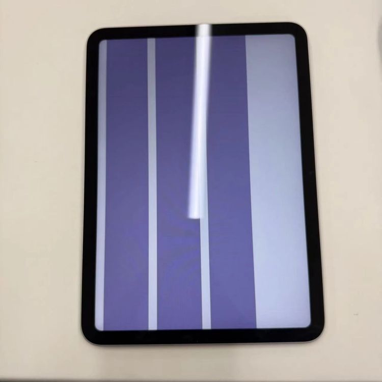 ��®ȯ��iPad ��10���� Wi-Fi��ǥ� 256GB ����С� 4PQ83ZP/A �������
