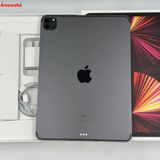 iPad Pro 11 3 2TB ڡ쥤 MHWE3J/A AUSIMե꡼