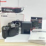 ��®ȯ��EOS M5 �ܥǥ� ����ե����� ������