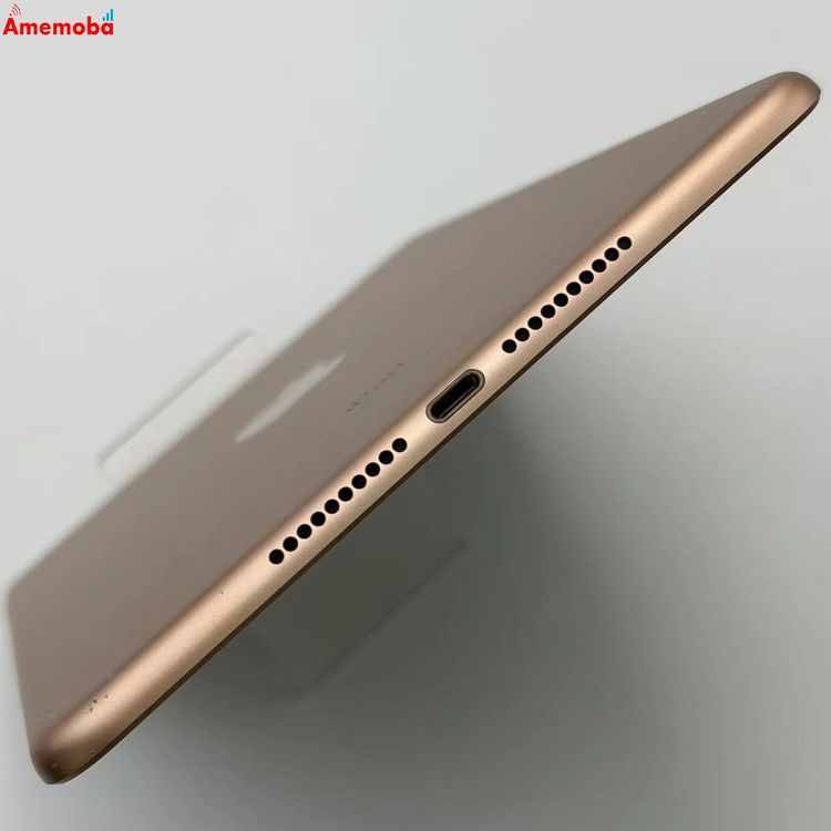 iPad mini ��5���� Wi-Fi+Cellular ��ǥ� 64GB ������� MUX72J