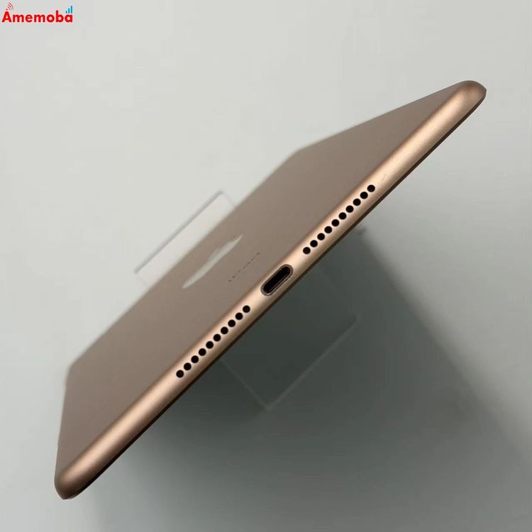iPad mini ��5���� Wi-Fi+Cellular ��ǥ� 256GB ������� MUXE2