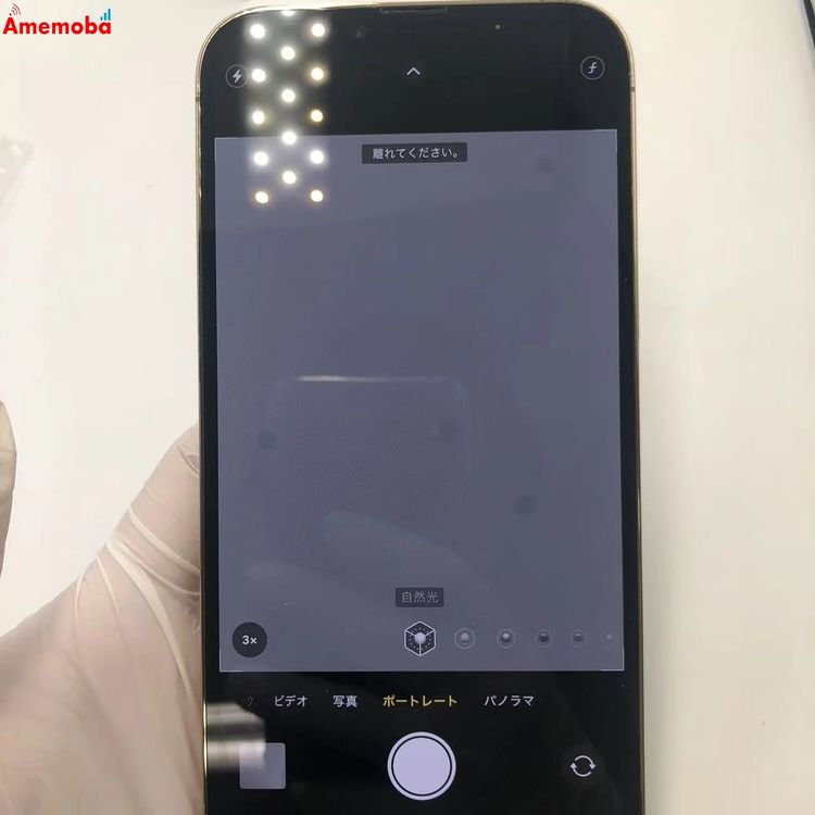 iPhone13 Pro Max 256GB ������� MLJA3J/A docomo��SIM�ե꡼