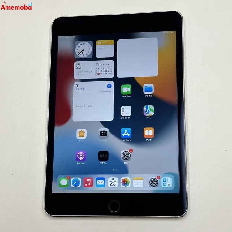 iPad mini 4 Wi-Fiǥ 32GB ڡ쥤 MNY12LL/A 