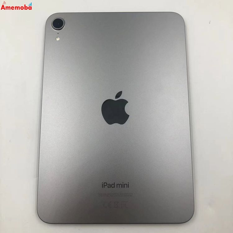 iPad mini ��7���� Wi-Fi��ǥ� 256GB ���ڡ������쥤 4XNA3ZN/A ����