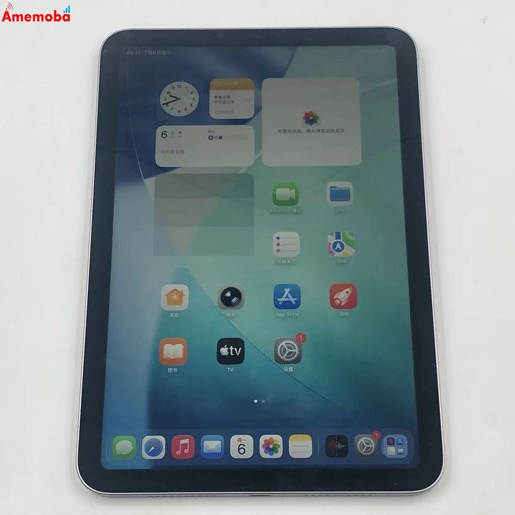 iPad mini ��7���� Wi-Fi��ǥ� 256GB ���ڡ������쥤 4XNA3ZN/A ����
