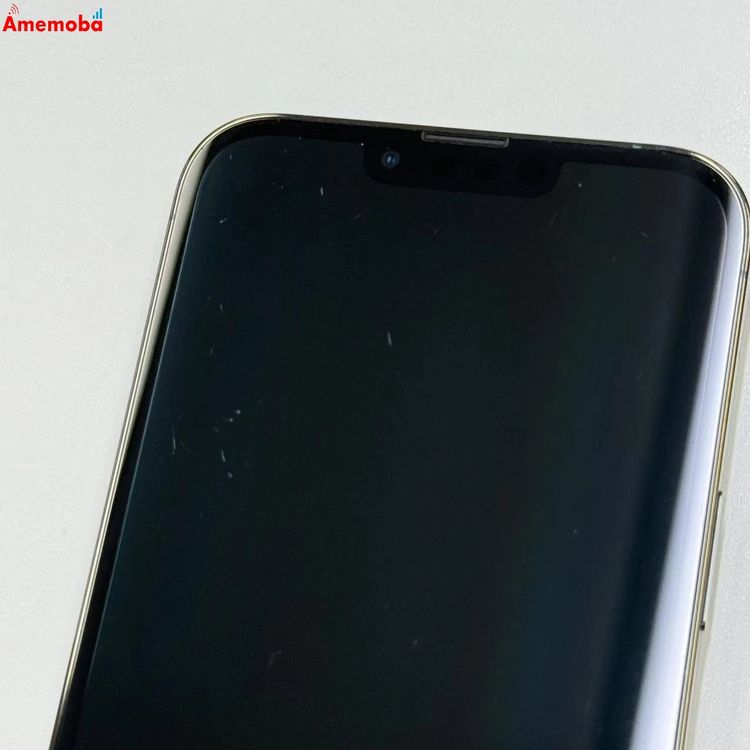 iPhone13 Pro Max 256GB ����ѥ��󥰥꡼�� NNCF3LL/A ������SIM��