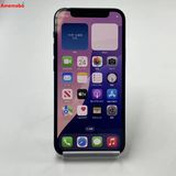 iPhone12 mini 128GB �֥롼 MGDP3J/A docomo��SIM�ե꡼ ������