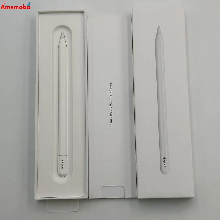 ®ȯApple Pencil USB-C ۥ磻 MUWA3ZA/A 