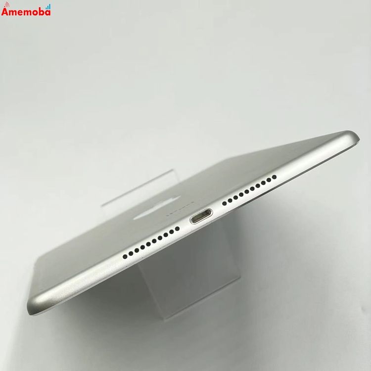 ��®ȯ��iPad mini ��4���� Wi-Fi��ǥ� 128GB ����С� MK9P2J/A