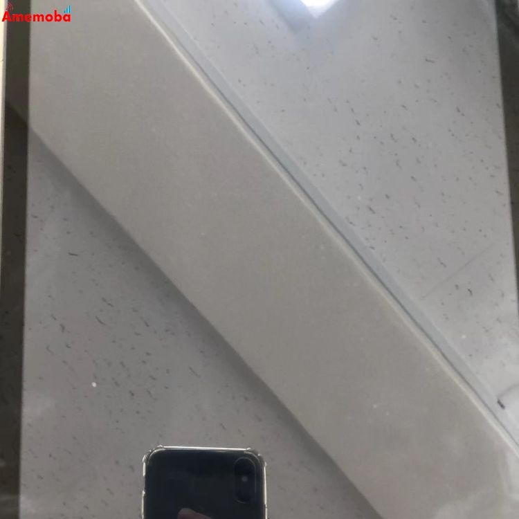 ��®ȯ��iPad ��9���� Wi-Fi��ǥ� 64GB ���ڡ������쥤 MK2K3X/A �������