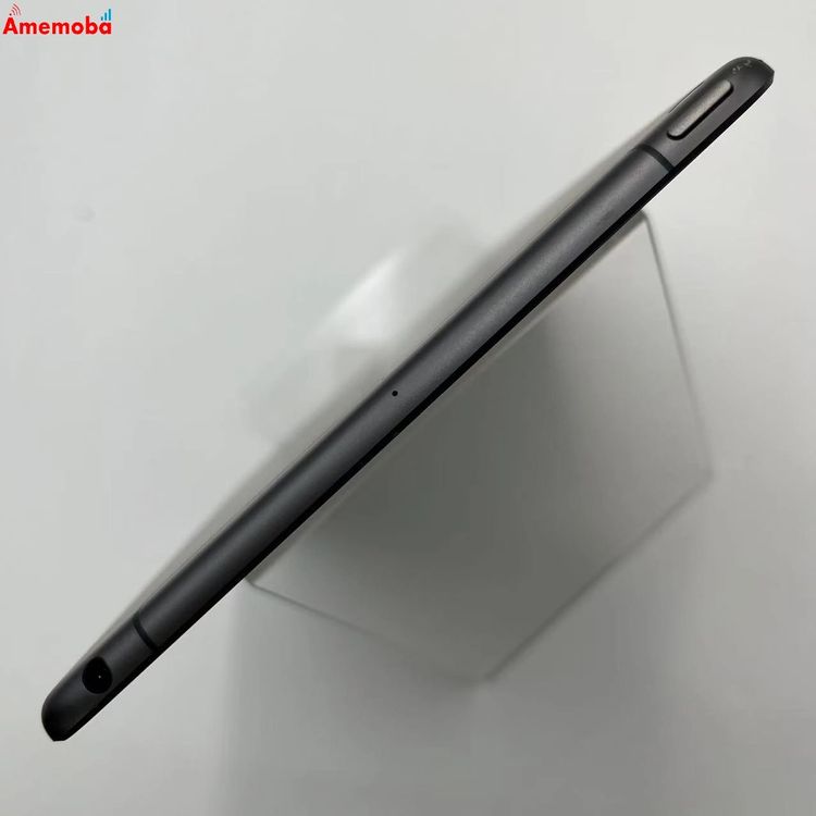 iPad mini 5 Wi-Fi+Cellular ǥ 256GB ڡ쥤 MU