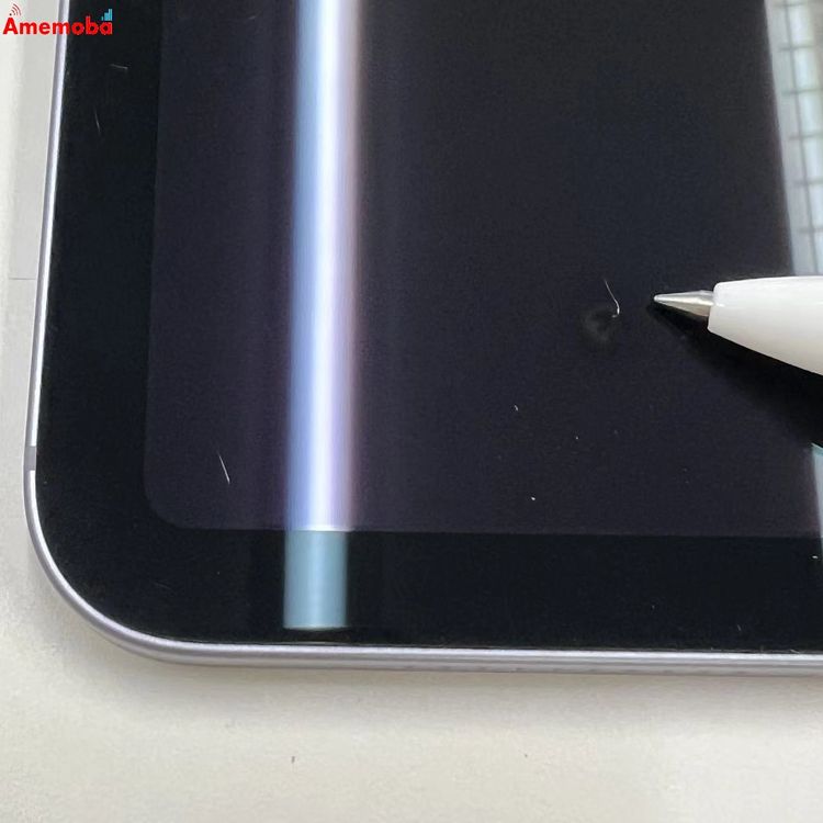 iPad mini ��6���� Wi-Fi+Cellular��ǥ� 256GB �ѡ��ץ� MK8K3J