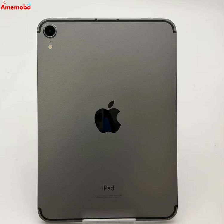 iPad mini ��6���� Wi-Fi + Cellular��ǥ� 256GB ���ڡ������쥤 M