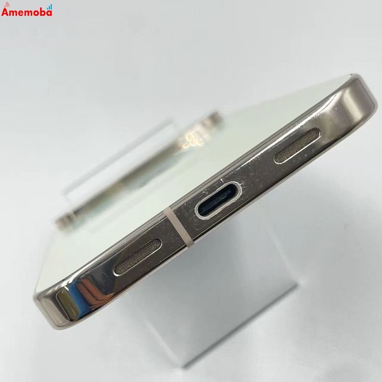 Google Pixel 10 Pro XL 256GB Jade GYPW4 ���ȥ���SIM�ե꡼