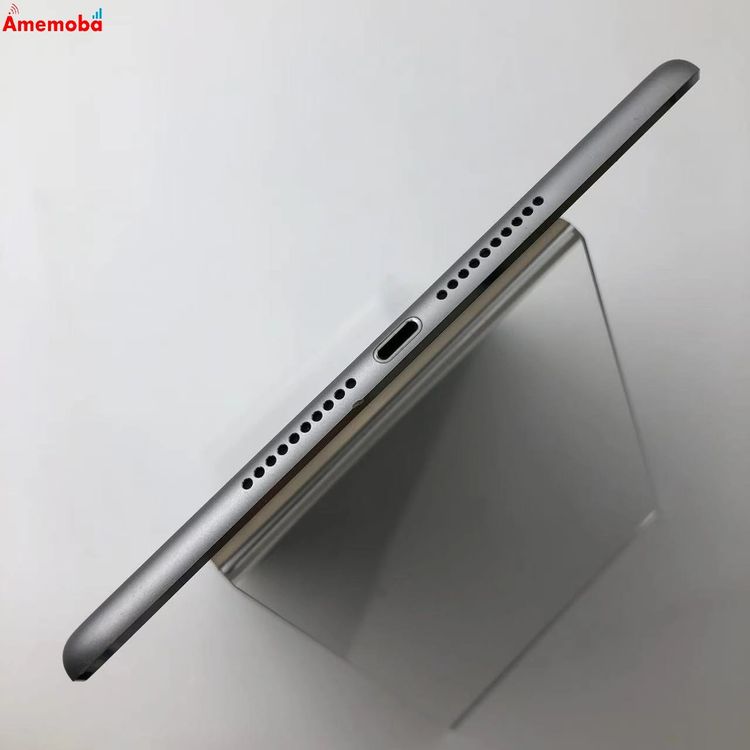iPad mini 4 Wi-Fiǥ 128GB ڡ쥤 MK9N2J/A 