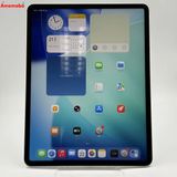 iPad Pro 12.9����� ��6���� Wi-Fi+Cellular��ǥ� 512GB ����С�