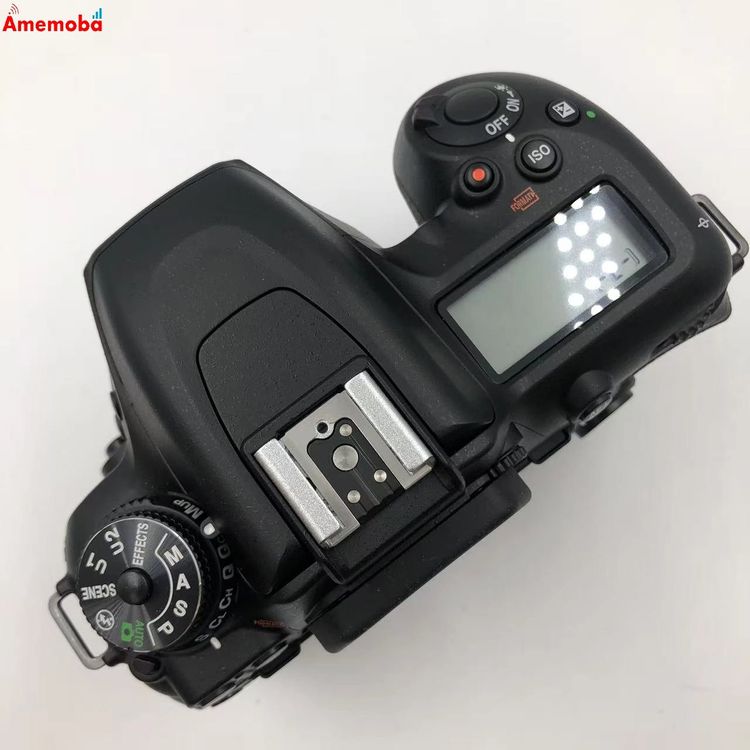 ��®ȯ��NikonD7500 �ܥǥ� - ����Ʊ��