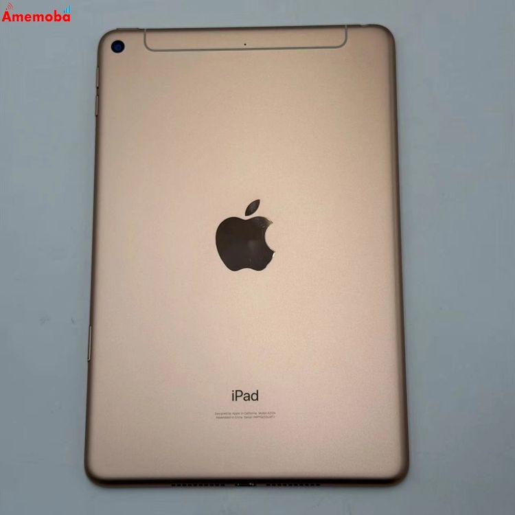 iPad mini ��5���� Wi-Fi+Cellular ��ǥ� 256GB ������� MUXE2