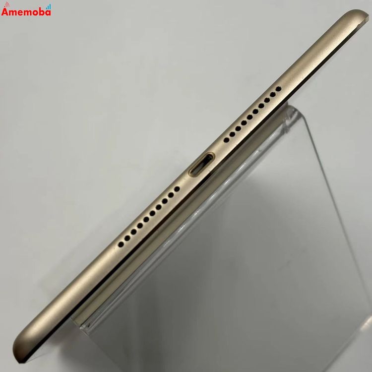 iPad mini ��4���� Wi-Fi+Cellular ��ǥ� 64GB ������� MK752J