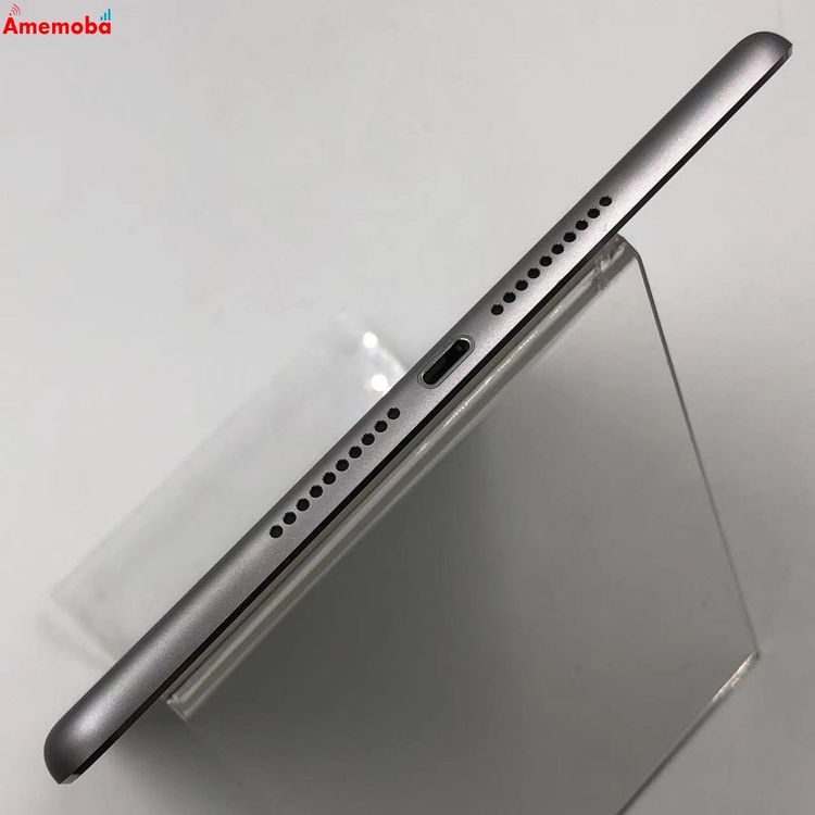 iPad mini ��4���� Wi-Fi��ǥ� 64GB ���ڡ������쥤 MK9G2J/A ����