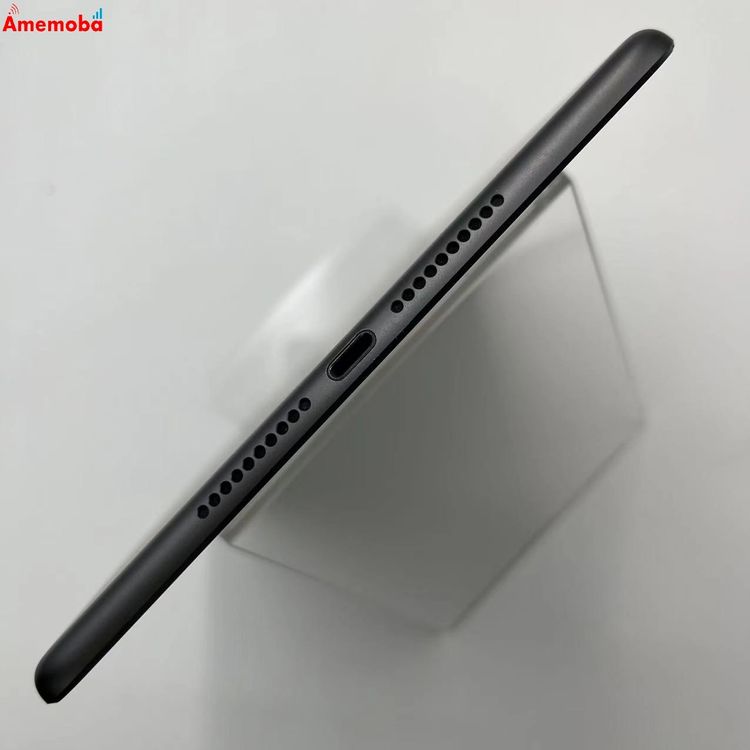 iPad mini 5 Wi-Fi+Cellular ǥ 256GB ڡ쥤 MU