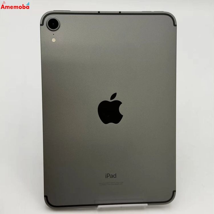iPad mini ��6���� Wi-Fi+Cellular��ǥ� 256GB ���ڡ������쥤 MK8