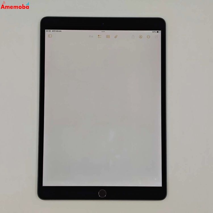 iPad Air 3 Wi-Fiǥ 256GB ڡ쥤 MUUQ2J/A 