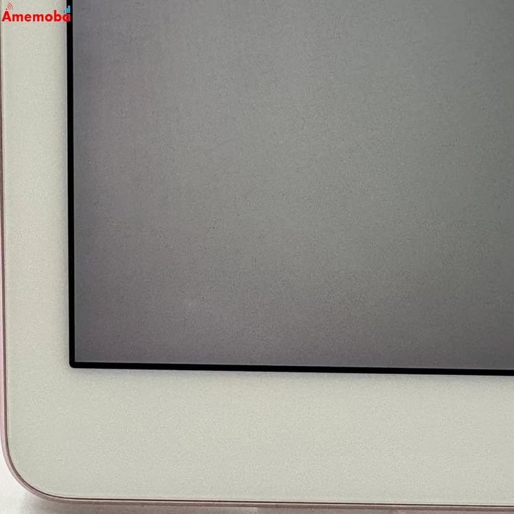 iPad Pro 9.7����� Wi-Fi+Cellular 256GB ������������� MLYM2