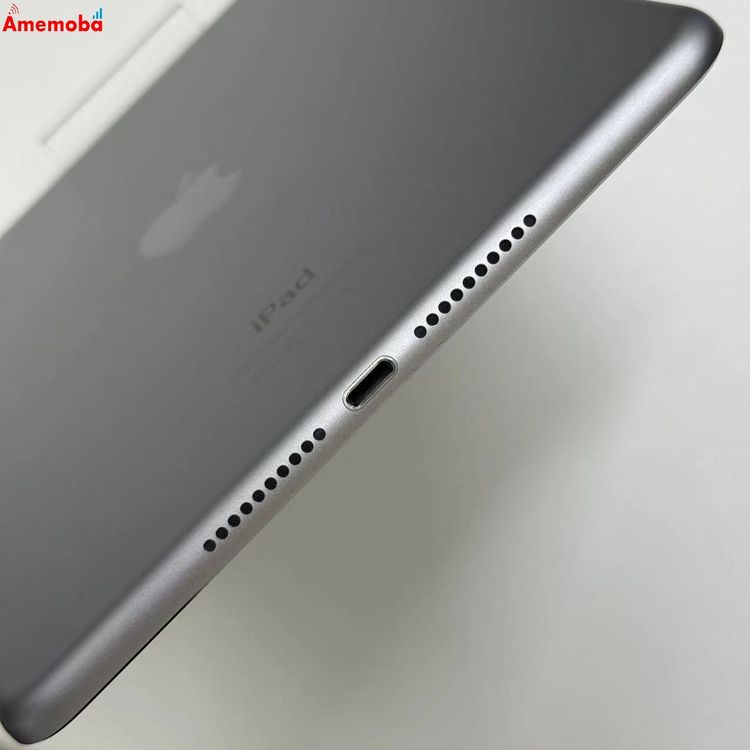 iPad mini ��4���� Wi-Fi��ǥ� 32GB ���ڡ������쥤 MNY12J/A ������