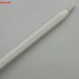 ®ȯApple Pencil USB-C ۥ磻 MUWA3ZA/A 
