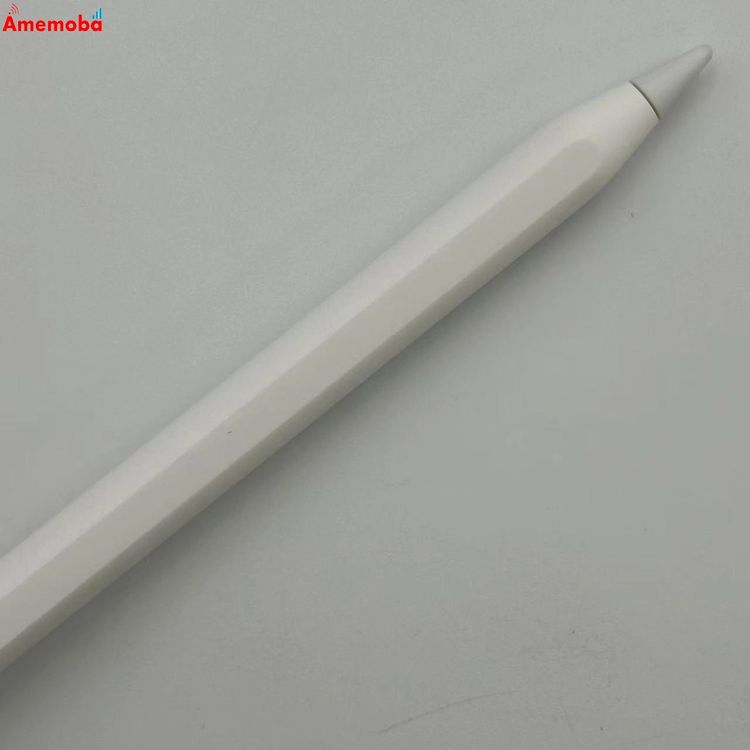 ®ȯApple Pencil USB-C ۥ磻 MUWA3ZA/A 