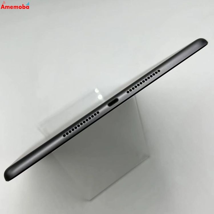 iPad ��9���� Wi-Fi+Cellular��ǥ� 256GB ���ڡ������쥤 MK4E3J/A