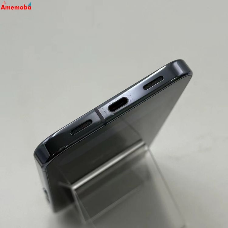 Google Pixel 10 Pro XL 256GB Moonstone SIM�ե꡼ ����